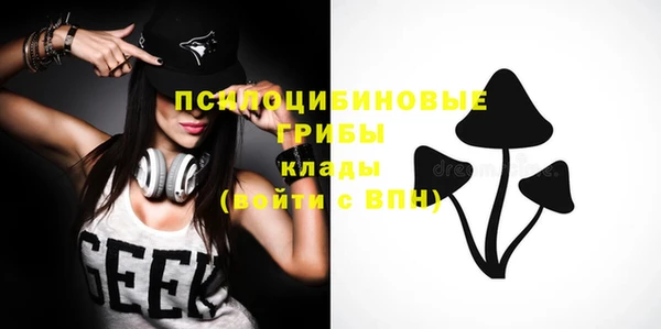 ГАЛЛЮЦИНОГЕННЫЕ ГРИБЫ Алексин