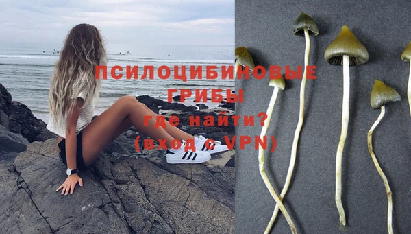 метадон Пересвет