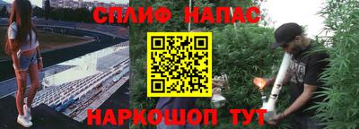 сатива Рыбинск