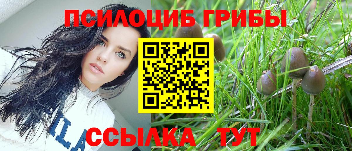 Галлюциногенные грибы ЛСД Тайшет